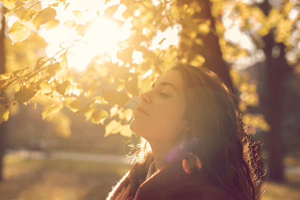 How to Reset Your Brain After Chronic Stress